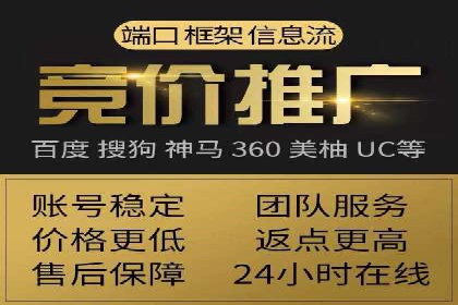 某行业领军企业的SEM广告投放策略